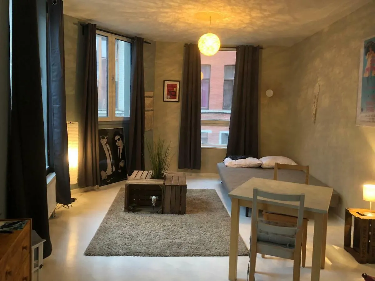 Chambre Cosy Barriere/Parvis St Gilles Brussels