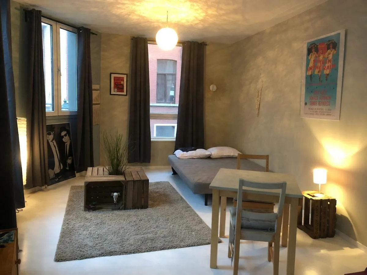 Chambre Cosy Barriere/Parvis St Gilles Brussels