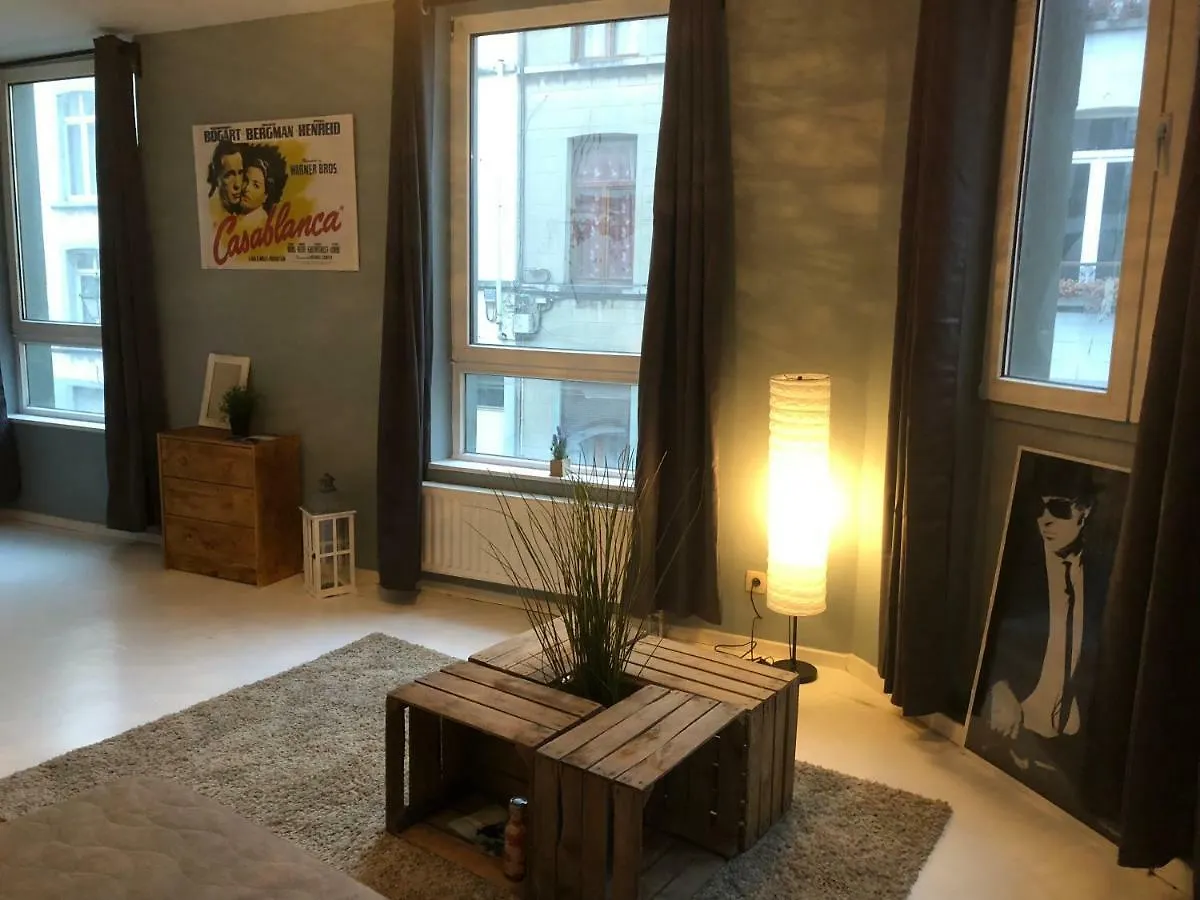 Chambre Cosy Barriere/Parvis St Gilles Brussels Belgium